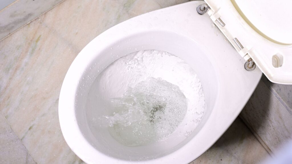 Toilet