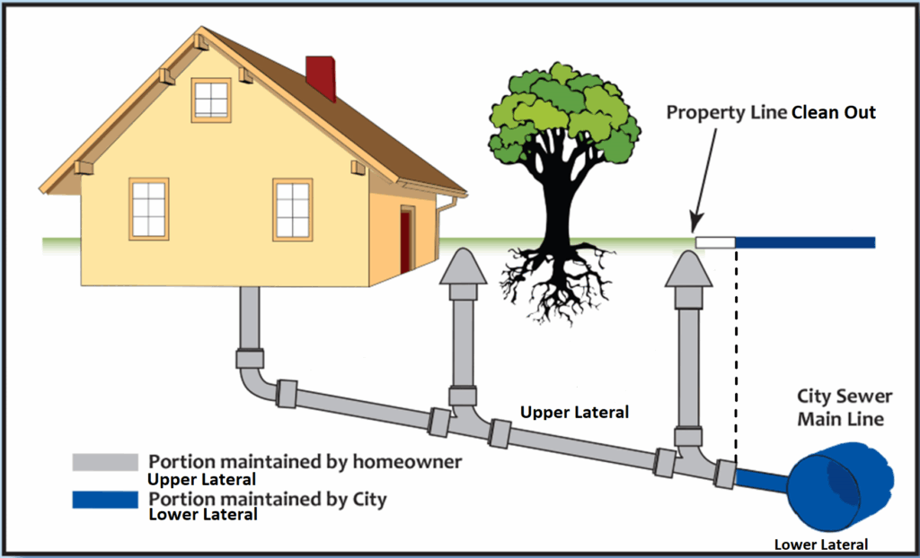 Sewer Line Clean Out